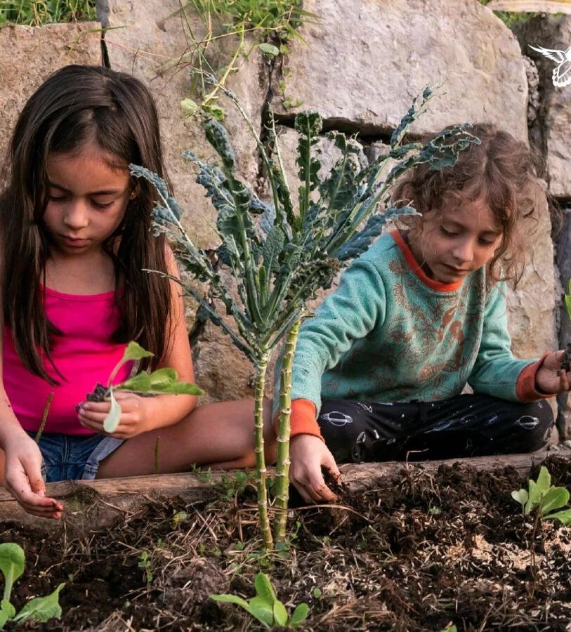 Two children planting kale in the garden at Casa Sumapaz