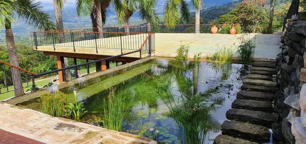 Natural swimming pool with lily pads and mountain view at Casa Sumapaz