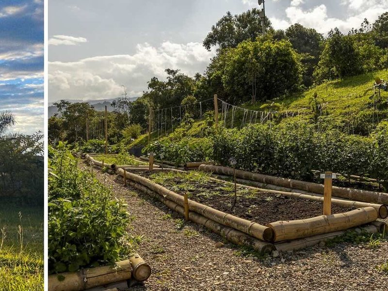 Jardín de bambú